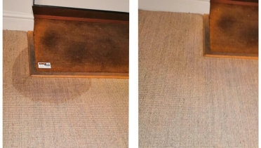 Before and after stain removal on sisal carpet showing successful water mark stain treatment using eco-friendly sisal carpet cleaning by Brio Carpet Care