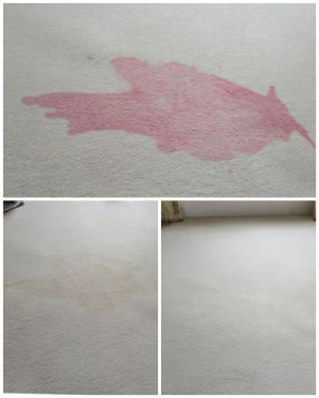 Before, during, and after red wine stain removal process on wool carpet, showing specialist chemical treatment.