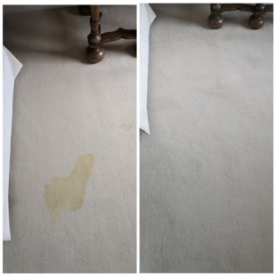 Before and after set-in pet urine stain removal and odour treatment on high-end wool carpet in Hampshire.