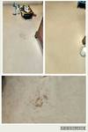 Carpet Stain removal Hampshire