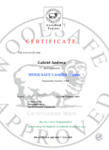 Certified Trained 