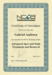 Advanced Spot and Stain removal Certification